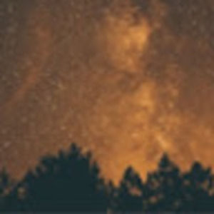 Meet your Posher, Araceli